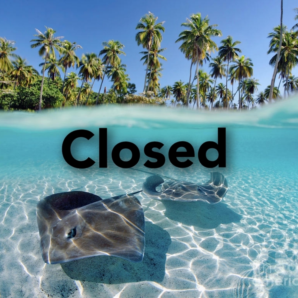 Share Game Closed! 4/3/24